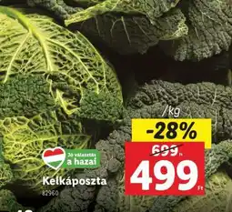 Lidl Kelkáposzta ajánlat