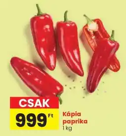 Spar Kápia paprika ajánlat