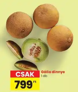 Spar Gália dinnye ajánlat