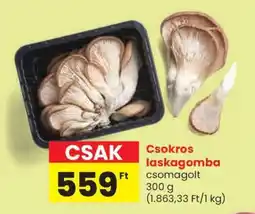 Csokros laskagomba