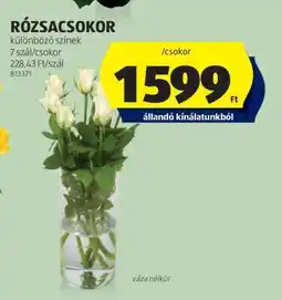 ALDI RÓZSACSOKOR ajánlat