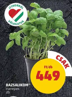 Bazsalikom