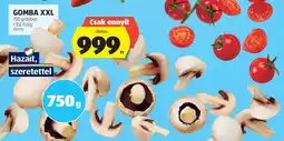 ALDI Gomba xxl ajánlat