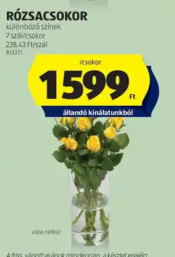 ALDI Rózsacsokor ajánlat