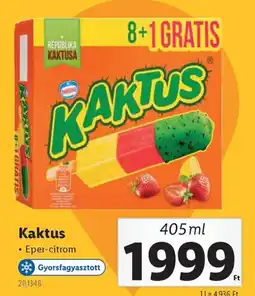 Lidl Kaktus ajánlat
