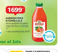 Auchan Andros Friss Gyümölcslé ajánlat