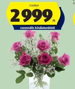 ALDI Prémium csokor ajánlat