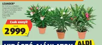 ALDI Leander ajánlat