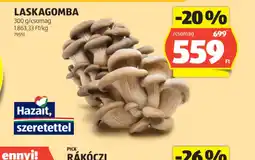 ALDI Laskagomba ajánlat