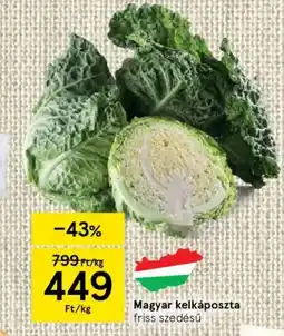 Magyar kelkáposzta