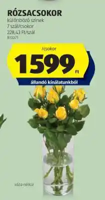 ALDI RÓZSACSOKOR ajánlat