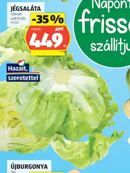 ALDI Jégsaláta ajánlat