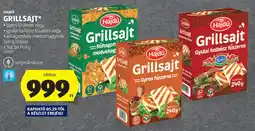 ALDI Hajdú grillsajt ajánlat