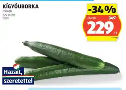 ALDI Kígyóuborka ajánlat