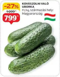 Auchan Kovászolni való uborka ajánlat