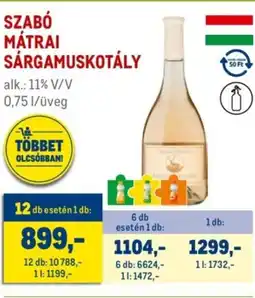 Metro Szabó mátrai sárgamuskotály ajánlat