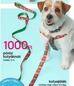 Pepco Póráz kutyáknak ajánlat