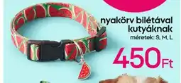Pepco nyakörv bilétával kutyáknak ajánlat