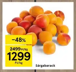 Tesco Sárgabarack ajánlat