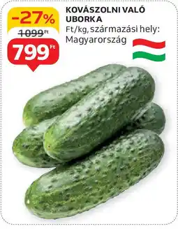 Auchan Kovászolni való uborka ajánlat