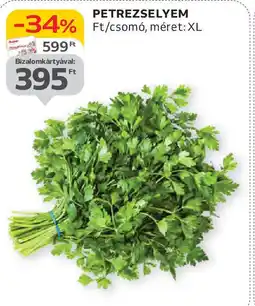 Petrezselyem