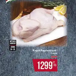 Coop Magyar Nagyfostu tyúk ajánlat