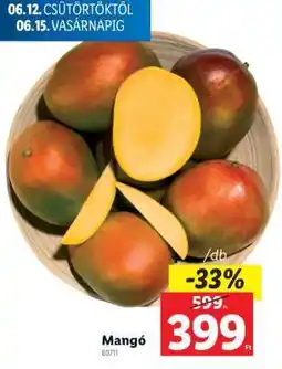 Lidl Mangó ajánlat