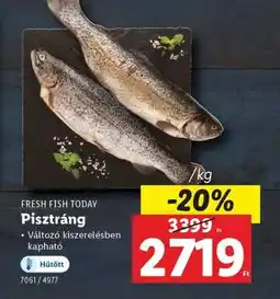Lidl Pisztráng ajánlat