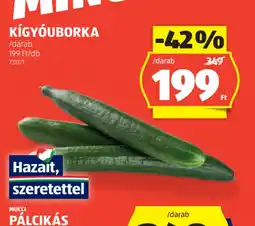 ALDI Kígyuborka ajánlat