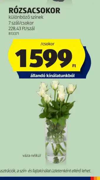 ALDI Rzsacsokor ajánlat