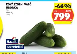 ALDI Kovászolni val uborka ajánlat