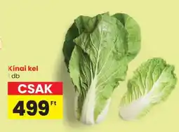 Kínai kel