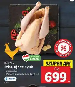 Lidl Friss, újházi tyúk ajánlat