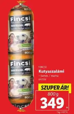 FINCSI KUTYASZALÁMI