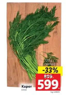 Lidl Kapor ajánlat