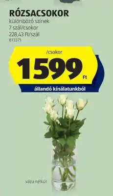 ALDI RÓZSACSOKOR ajánlat