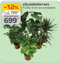 Auchan Zöldnövény mix ajánlat