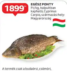 Auchan Egész ponty ajánlat