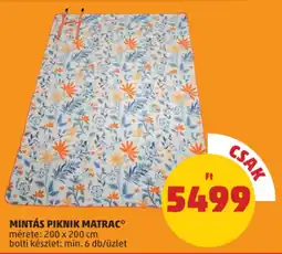 PENNY Mintás piknik matrac ajánlat