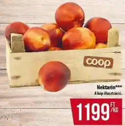 Nektarin
