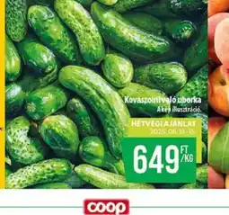 Coop Kovászolni val uborka ajánlat
