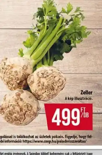 Coop Zeller ajánlat