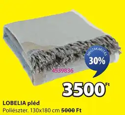 JYSK Lobelia pléd ajánlat