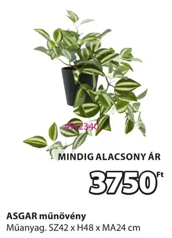 JYSK Asgar műnövény ajánlat