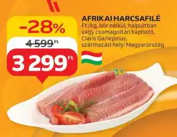 Auchan Afrikai Harcsafilé ajánlat