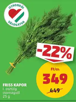 PENNY Friss kapor ajánlat