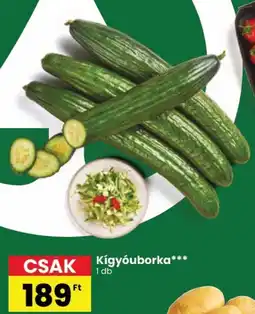 Spar Kígyóuborka ajánlat