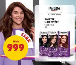 PENNY Palette hajfesték ajánlat