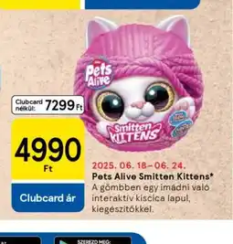 Tesco Pets Alive Smitten Kittens ajánlat