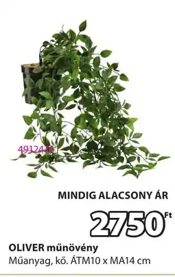 JYSK OLIVER műnövény ajánlat